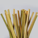 Grass Drinking Straws - EQUO