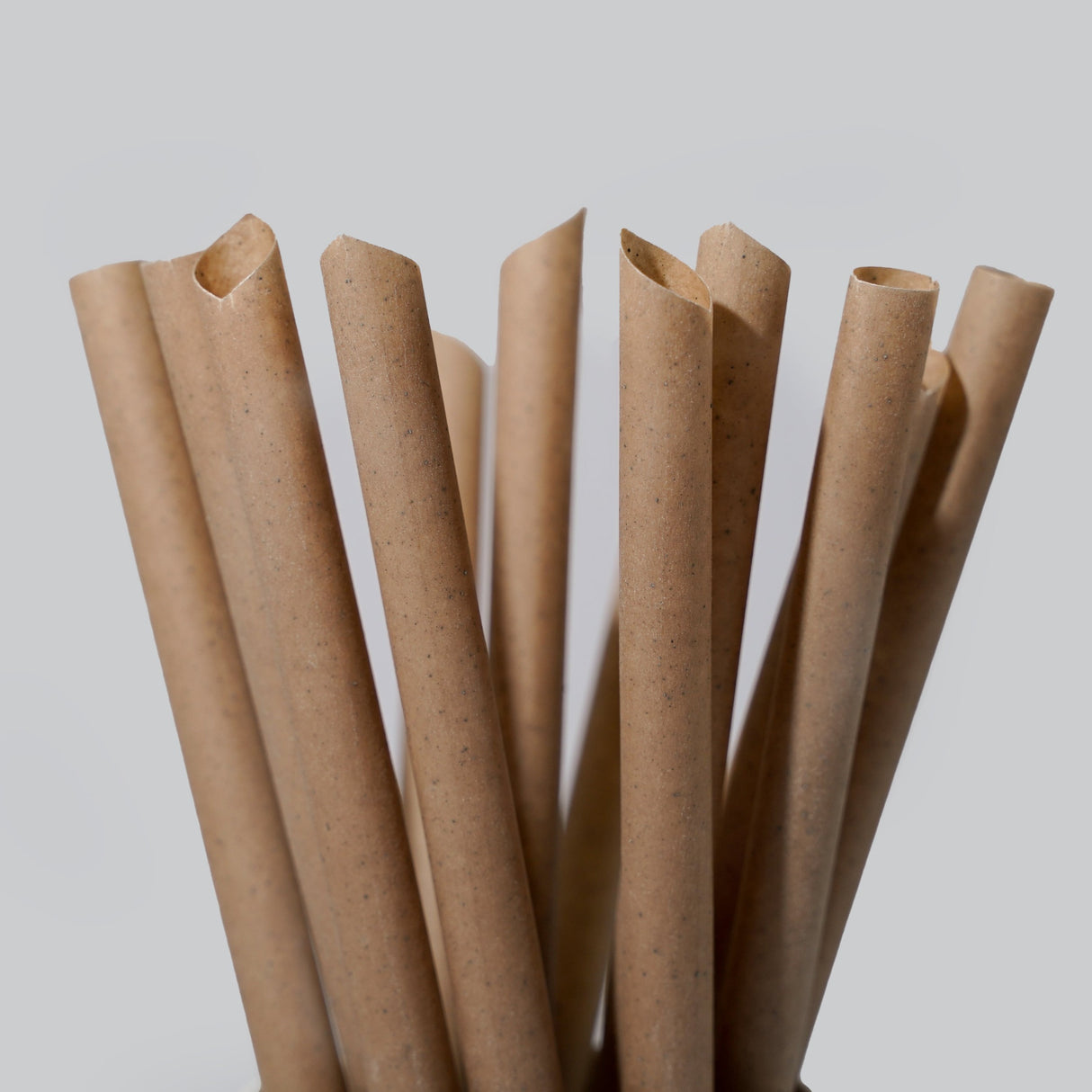 Coffee Drinking Straws - EQUO