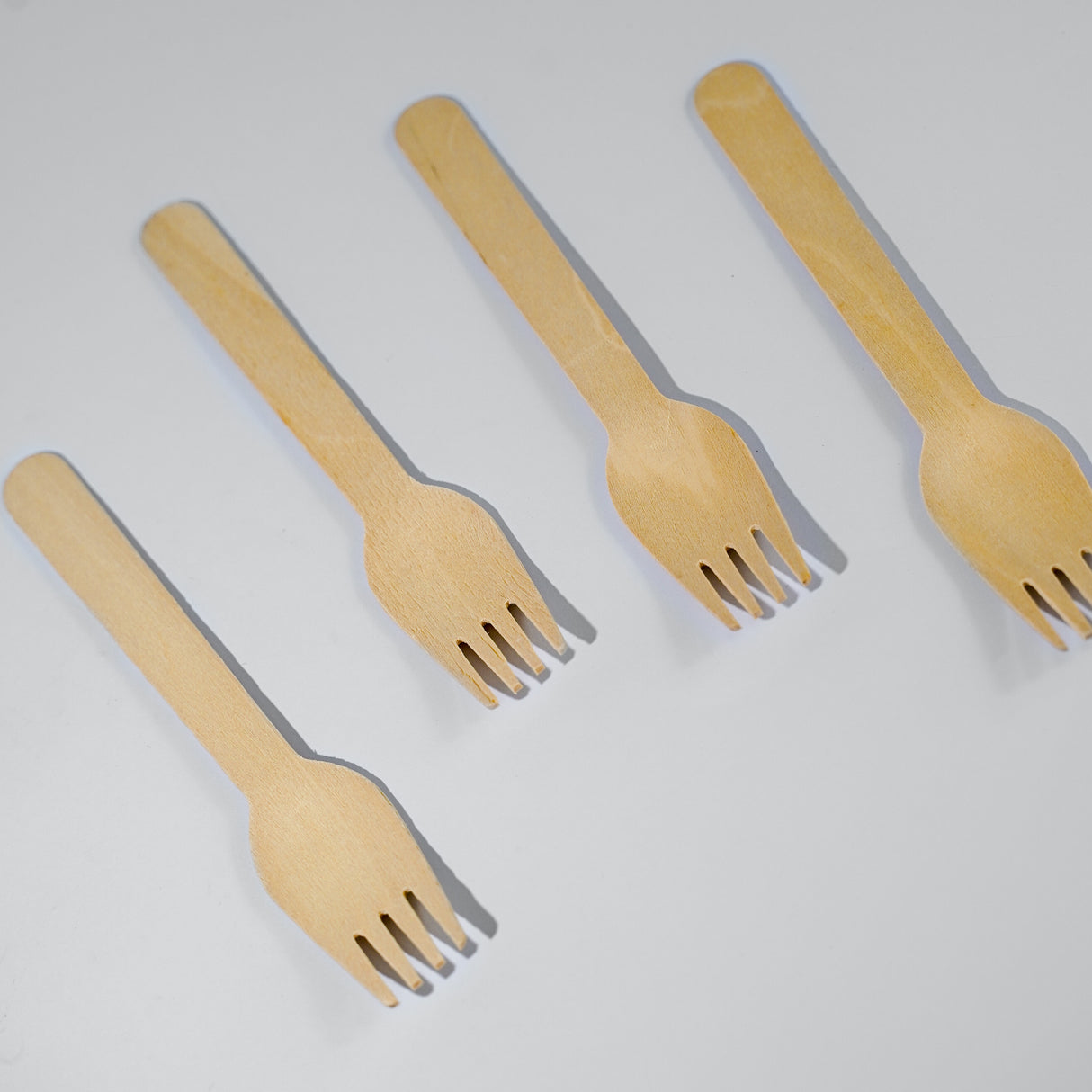 Wooden Forks (Wholesale/Bulk) - 1000 count - EQUO