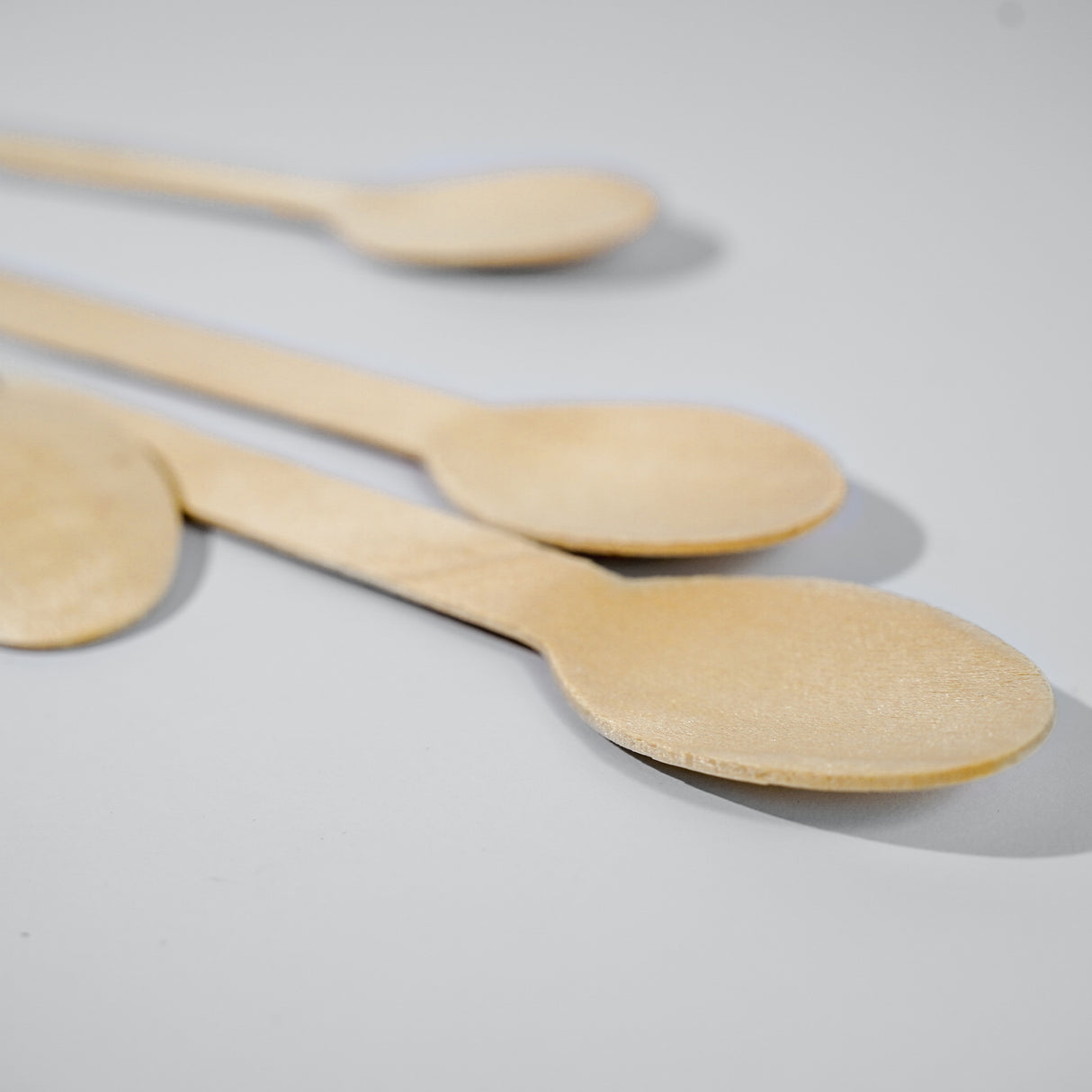 Wooden Spoons (Wholesale/Bulk) - 1000 count - EQUO