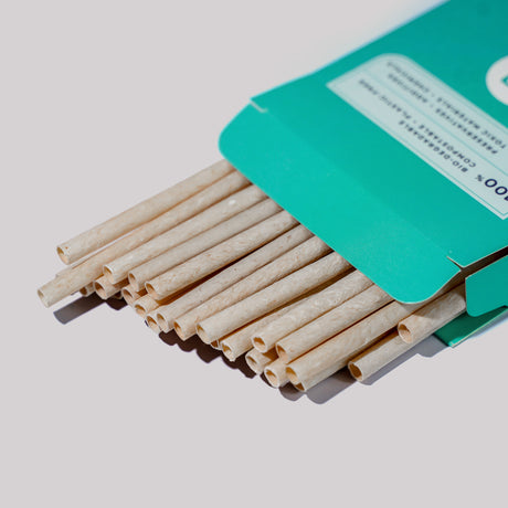 Coconut Drinking Straws - EQUO