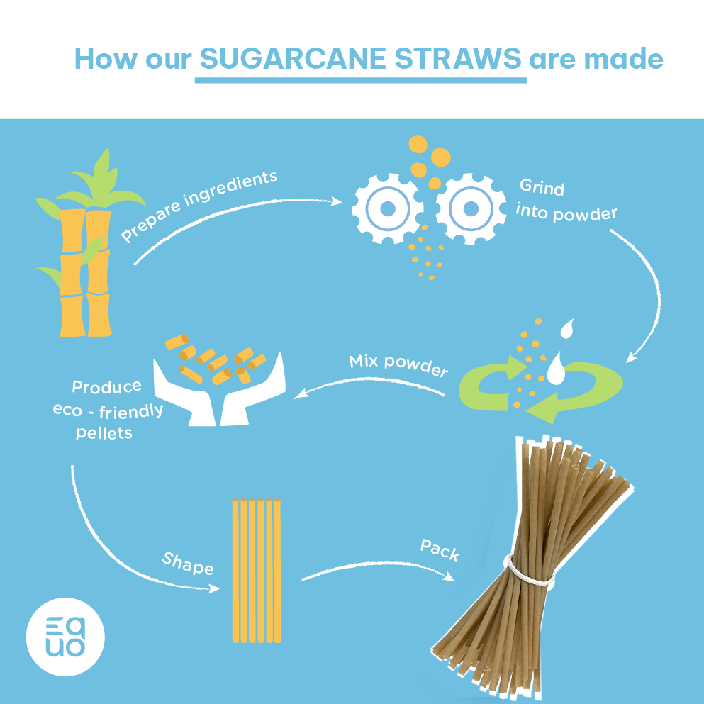 EQUO Sugarcane Drinking Straws - EQUO