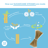 EQUO Sugarcane Drinking Straws - EQUO