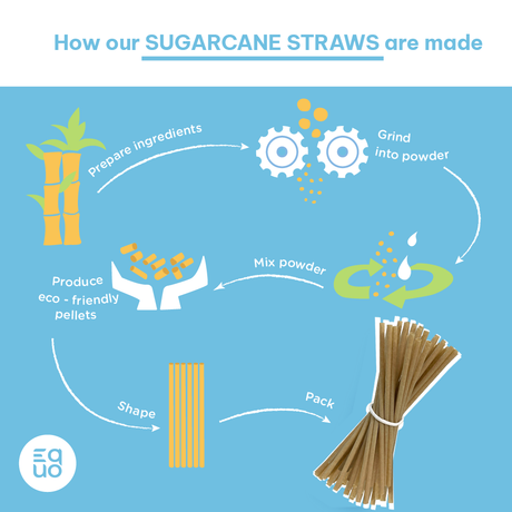 EQUO Sugarcane Drinking Straws - EQUO