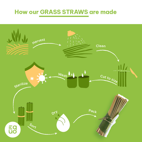 EQUO Grass Drinking Straws - EQUO