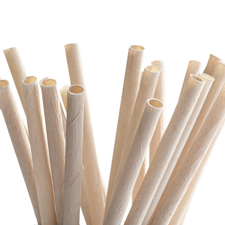 Coconut Drinking Straws - EQUO