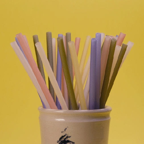 Rice Drinking Straws - Great Prices, Buy Now | EQUO Vietnam Shop