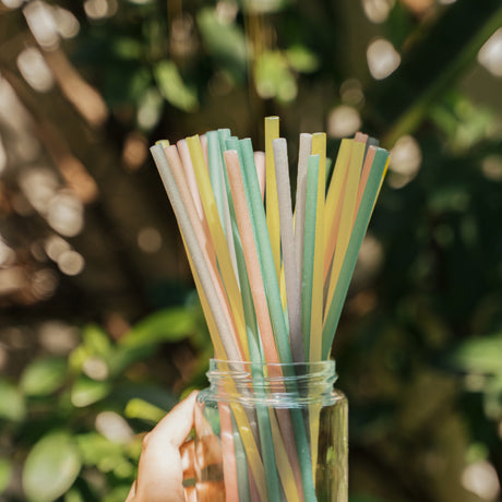 EQUO Rice Drinking Straws - EQUO