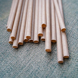 EQUO Coffee Drinking Straws - EQUO