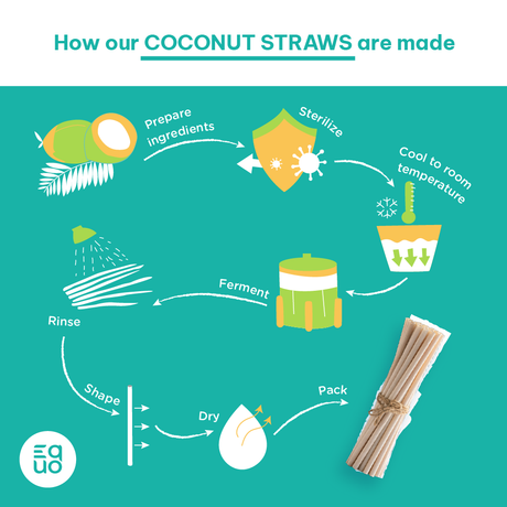 EQUO Coconut Drinking Straws - EQUO