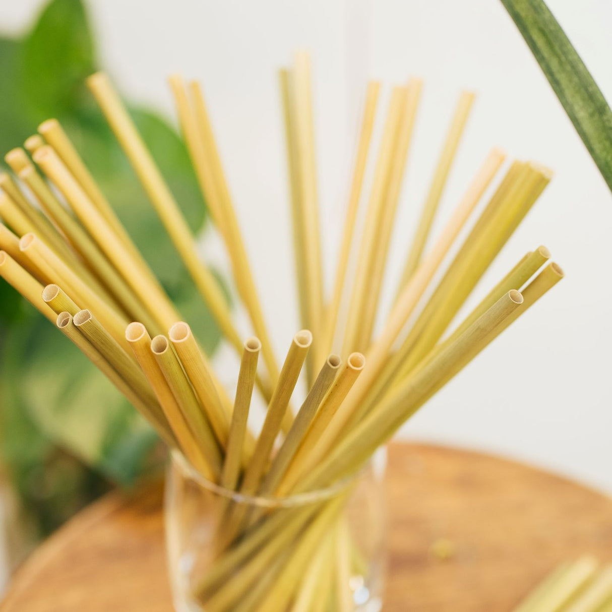 A handful of grass straws in a glass vase.